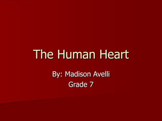 The Human Heart By: Madison Avelli Grade 7 