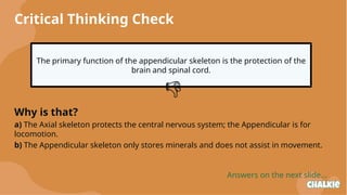 The Human Skeleton: Structure, Function, and Vital Roles Explained | PPTX