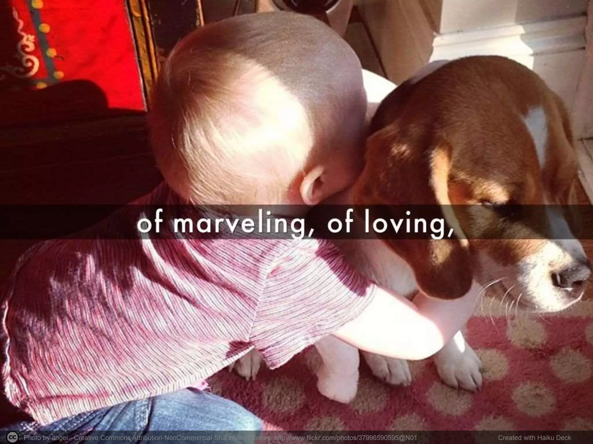 Photo by angel - Creative Commons Attribution-NonCommercial-ShareAlike License http://www.flickr.com/photos/37996590595@N01 Created with Haiku Deck 
 