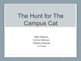 The Hunt for The
Campus Cat
Billie Williams
Connor Albinson
Adeleke Adewale
TJ Tvedt
 