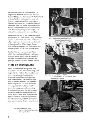 2
My presentation of the structure of the GSD
begins with the head, moves down the neck,
back and body, and then deals with the forehand
and rearhand. At each stage the reader will
find an in-depth study of the anatomy and
function of the structure in question, both of
its normal form and several deviant variations.
Finally, I complete the topic of conformation
with discussions of proportion, height, coat
and colour, with a comment on breed type.
Once the reader has a clear understanding of
the structure of a normal GSD I bring her to the
subject of movement, first with a brief overview
of the mechanics of movement, and then with
a discussion of the different gaits that are
typical of dogs. I explain and illustrate the trot,
so characteristic of the GSD, in some detail.
Finally, I look at temperament, without
which the most beautiful dog is inadequate.
I discuss typical breed character, as well as
the mental traits required to perform the
principle jobs for which the breed is famous.
Note on photographs
I have chosen images of dogs from both
sides of the Atlantic. The German dogs tend
to predate the modern show lines because
they possess stronger back structure
and more powerful working type than
later developments. The American dogs
tend to predate the Lance line, and have
better proportions and more moderate
rear angulation than what came after
them. Some dogs are modern working
lines, but most predate the split between
show and work and represent lines that
could produce both. Also, many of these
beautiful animals have virtually vanished
from breed history, and I felt it important
that such wonderful dogs be remembered.
Ch Amber aus der Edelheim ROM
	 Ch Caralon’s Hein vd Lockenheim ROM 	
	 Brandywine’s Minuet
V Ch Amigo Land der Berge SchH3
	 V Jack v Furstenberg SchH3
	 Dunja v Schippkapass SchH1
Sel Ch Arbar’s Benno ROM
	 Sel Ch Wilhelm ad Winterzeit
	 Conroy’s Gabriel
 