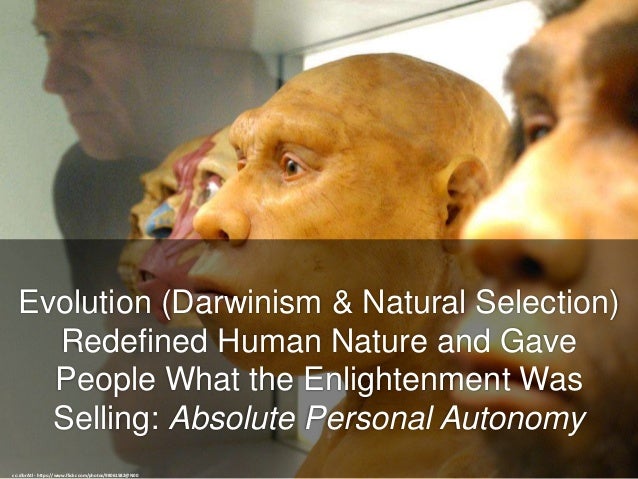 Explain The Importance Of Natural Selection Explain The Importance Of Natural Selection