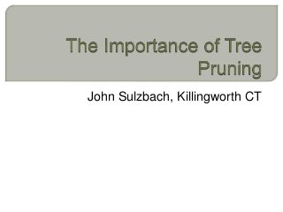 John Sulzbach, Killingworth CT
 