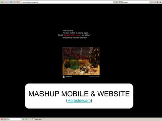MASHUP MOBILE & WEBSITE
(Hamstercam)
 