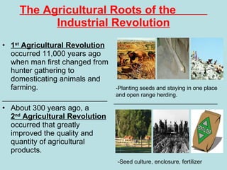 The Agricultural Roots of the  Industrial Revolution 1 st  Agricultural Revolution  occurred 11,000 years ago when man first changed from hunter gathering to domesticating animals and farming. _________________________ About 300 years ago, a  2 nd  Agricultural Revolution  occurred that greatly improved the quality and quantity of agricultural products. -Planting seeds and staying in one place and open range herding. _________________________________ -Seed culture, enclosure, fertilizer 