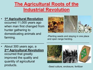 The Agricultural Roots of the
Industrial Revolution
• 1st Agricultural Revolution
occurred 11,000 years ago
when man first changed from
hunter gathering to
domesticating animals and
farming.
_________________________
• About 300 years ago, a
2nd Agricultural Revolution
occurred that greatly
improved the quality and
quantity of agricultural
products.
-Planting seeds and staying in one place
and open range herding.
_________________________________
-Seed culture, enclosure, fertilizer
 