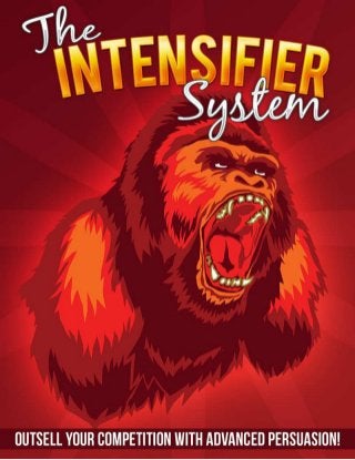 The Intensifier System
 