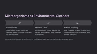 Microorganisms as Environmental Cleaners
Collect Waste
Collect garden soil and add fruit and
vegetable peels to a container. Cover with
soil and leave aside.
Microbial Action
Microorganisms in the soil, like fungi and
bacteria, act on the plant waste and slowly
break it down.
Nutrient Recycling
After 2-3 weeks, the waste turns into dark-
colored manure, rich in nutrients that helps
increase soil fertility.
Microorganisms help clean our environment by breaking down waste and returning important nutrients to nature.
 