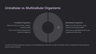 Unicellular vs. Multicellular Organisms
The body of all living organisms is made up of tiny building blocks called cells. A single cell contains various components that help organisms
perform various functions.
Unicellular Organisms
Made up of just one cell (e.g., bacteria,
protozoa, yeast)
Carry out all functions necessary for
survival in a single cell
Multicellular Organisms
Made up of many cells (e.g., plants,
animals, some fungi and algae)
Cells carry out specialized functions and
cooperate with each other
 