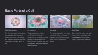 Basic Parts of a Cell
Cell Membrane
The thin outer layer that encloses
the cytoplasm and nucleus. It
separates one cell from another
and is porous, allowing essential
materials to enter and waste to
exit.
Cytoplasm
The space between the cell
membrane and nucleus. It
contains other components of the
cell and compounds such as
carbohydrates, proteins, fats, and
mineral salts. Most life processes
take place here.
Nucleus
The round structure in the middle
covered by a thin membrane. It
regulates all activities that occur
within the cell and controls
growth.
Cell Wall
Some cells, like onion peel cells,
have an extra outer layer called
the cell wall, which provides
rigidity and strength to plants.
 