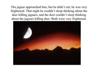 The jaguar approached him, but he didn’t eat; he was very frightened. That night he couldn’t sleep thinking about the deer killing jaguars; and the deer couldn’t sleep thinking about the jaguars killing deer. Both were very frightened. 