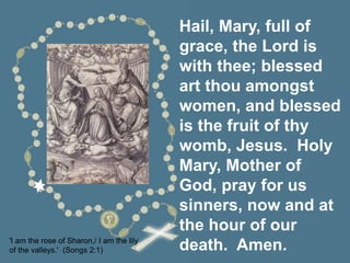 Hail, Mary, full of
grace, the Lord is
with thee; blessed
art thou amongst
women, and blessed
is the fruit of thy
womb, Jesus. Holy
Mary, Mother of
God, pray for us
sinners, now and at
the hour of our
death. Amen.
'I am the rose of Sharon,/ I am the lily
of the valleys.' (Songs 2:1)
 