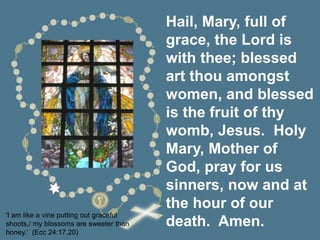 Hail, Mary, full of
grace, the Lord is
with thee; blessed
art thou amongst
women, and blessed
is the fruit of thy
womb, Jesus. Holy
Mary, Mother of
God, pray for us
sinners, now and at
the hour of our
death. Amen.
'I am like a vine putting out graceful
shoots,/ my blossoms are sweeter than
honey.' (Ecc 24:17,20)
 