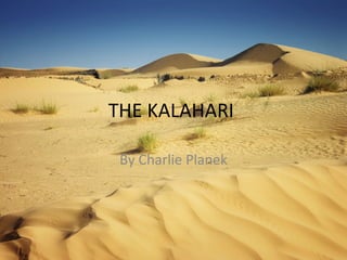 THE KALAHARI  By Charlie Planek 