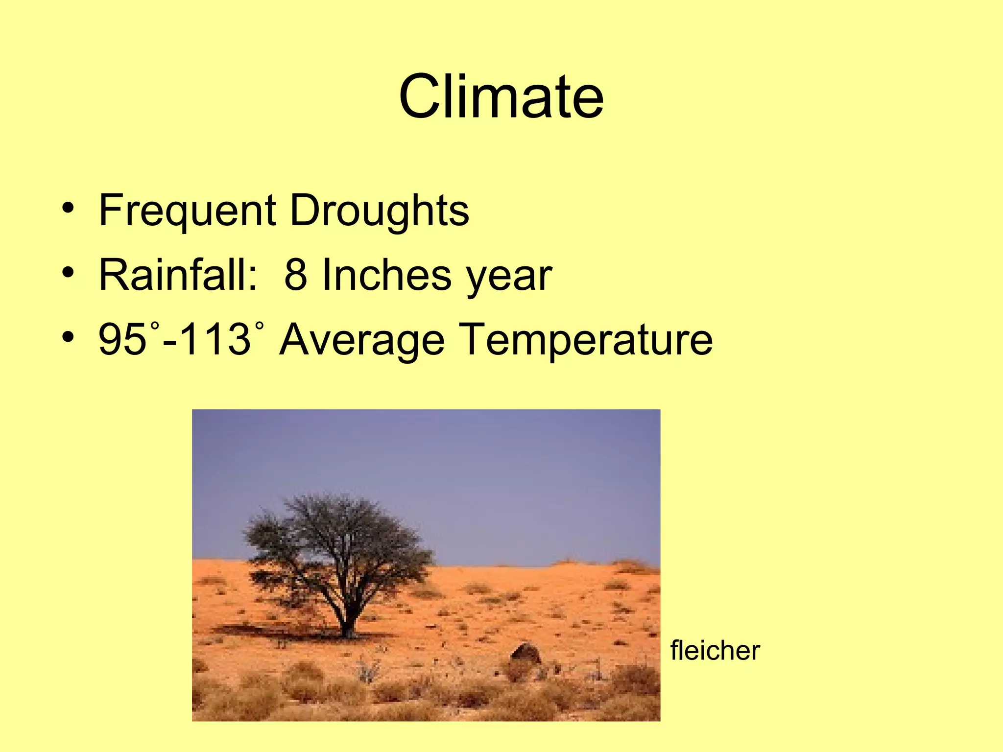 The Kalahari Desert PPT the-kalahari-desert-ppt