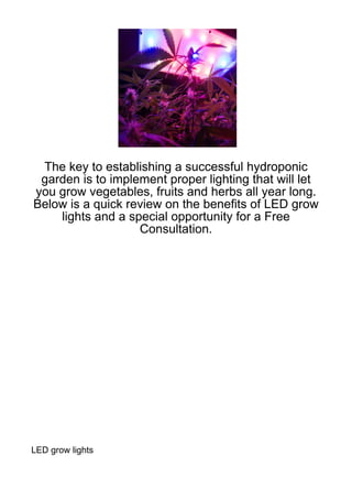 The key to establishing a successful hydroponic
 garden is to implement proper lighting that will let
you grow vegetables, fruits and herbs all year long.
Below is a quick review on the benefits of LED grow
    lights and a special opportunity for a Free
                   Consultation.




LED grow lights
 