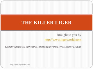 Brought to you by  http://www.ligerworld.com LIGERWORLD.COM CONTAINS ABSOLUTE INFORMATION ABOUT LIGERS THE KILLER LIGER http://www.ligerworld.com 