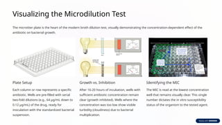 Diffusion Ast Comprehensive Guide to Antibiotic Susceptibility Testing (AST) and ...