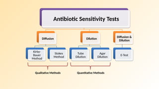 Diffusion Ast Comprehensive Guide to Antibiotic Susceptibility Testing (AST) and ...