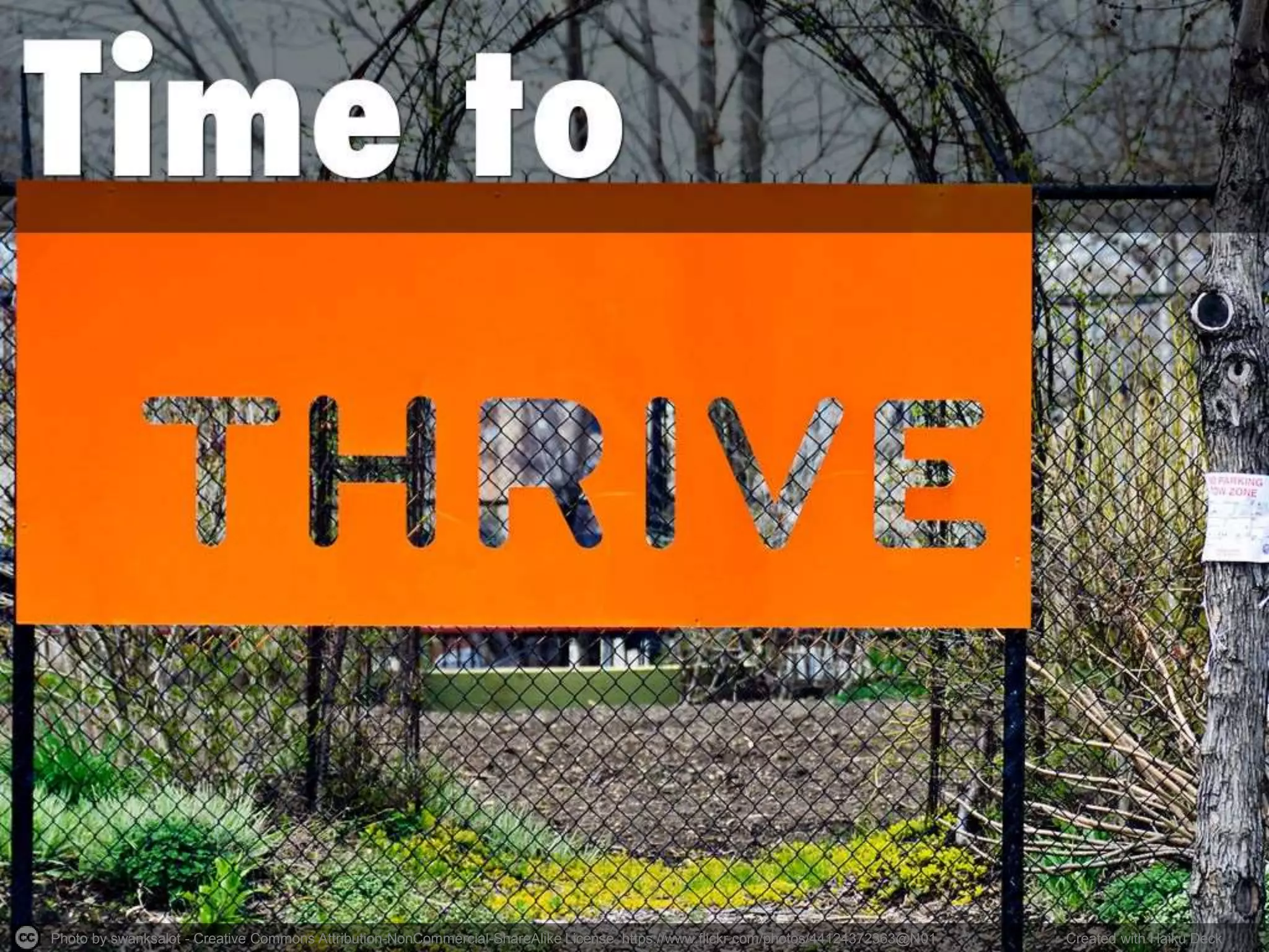 Photo by swanksalot - Creative Commons Attribution-NonCommercial-ShareAlike License https://www.flickr.com/photos/44124372363@N01 Created with Haiku Deck
 