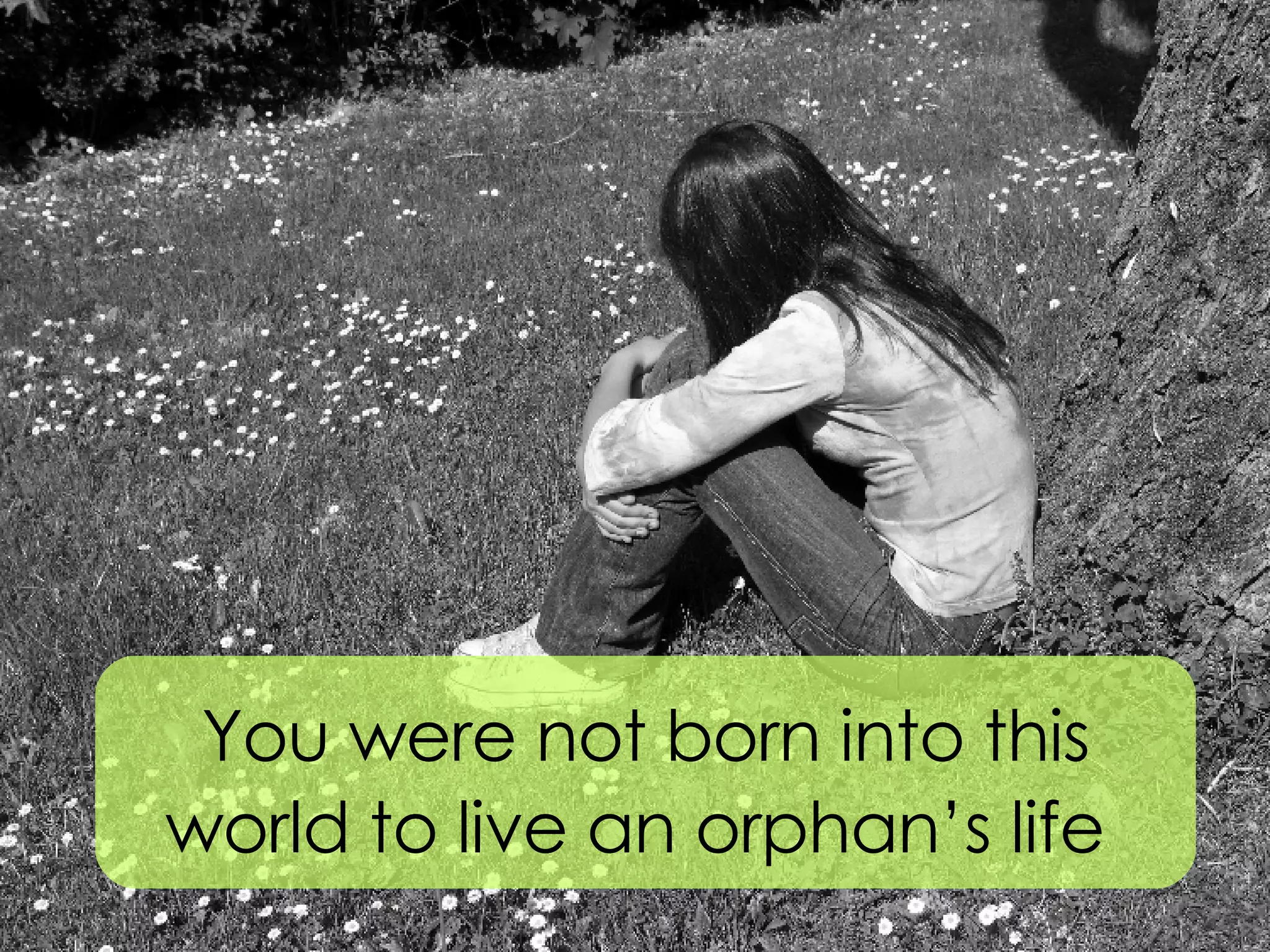 THE LETTER SONG visual data 5