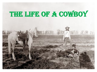 The Life of a Cowboy 