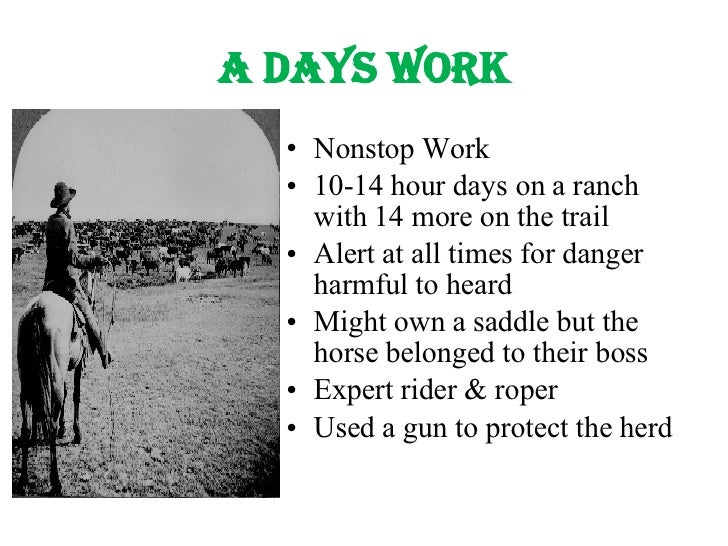 The Life Of A Cowboy