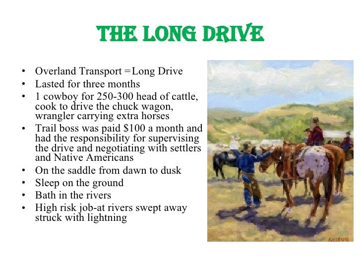 The Life Of A Cowboy