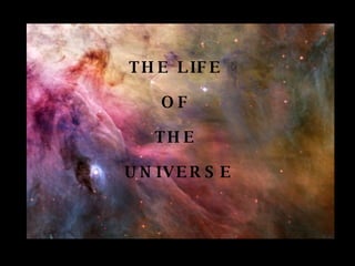 THE LIFE  OF  THE  UNIVERSE 