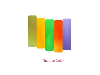 The Live Color 