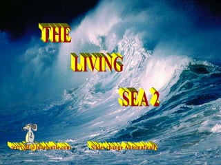 THE LIVING SEA 2 [email_address] Slides change Automatically 