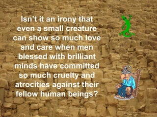 13
Isn’t it an irony that
even a small creature
can show so much love
and care when men
blessed with brilliant
minds have committed
so much cruelty and
atrocities against their
fellow human beings?
 