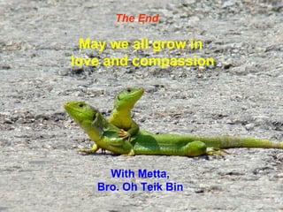 15
The End
May we all grow in
love and compassion
With Metta,
Bro. Oh Teik Bin
 