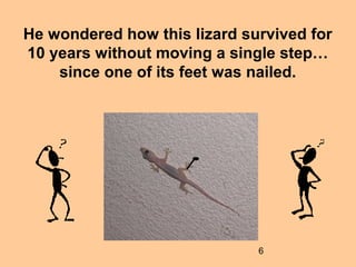 6
He wondered how this lizard survived for
10 years without moving a single step…
since one of its feet was nailed.
 