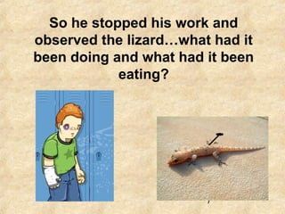 7
So he stopped his work and
observed the lizard…what had it
been doing and what had it been
eating?
 