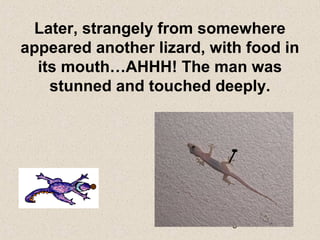 8
Later, strangely from somewhere
appeared another lizard, with food in
its mouth…AHHH! The man was
stunned and touched deeply.
 