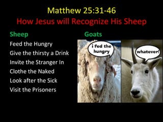 Matthew 25:31-46 How Jesus will Recognize His Sheep Sheep Feed the Hungry Give the thirsty a Drink Invite the Stranger In Clothe the Naked Look after the Sick Visit the Prisoners Goats 