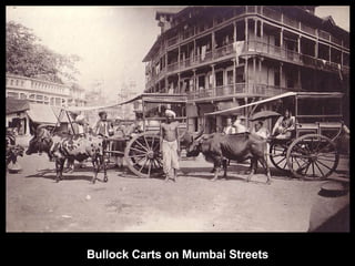 Bullock Carts on Mumbai Streets 