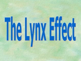 The Lynx Effect 