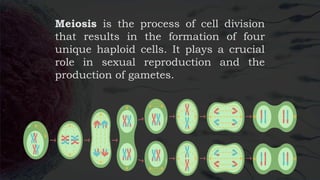 Hapliod Process The-Marvel-of-Human-Reproduction (prelim).pptx