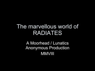 The marvellous world of RADIATES A Moorhead / Lunatics Anonymous Production MMVIII 