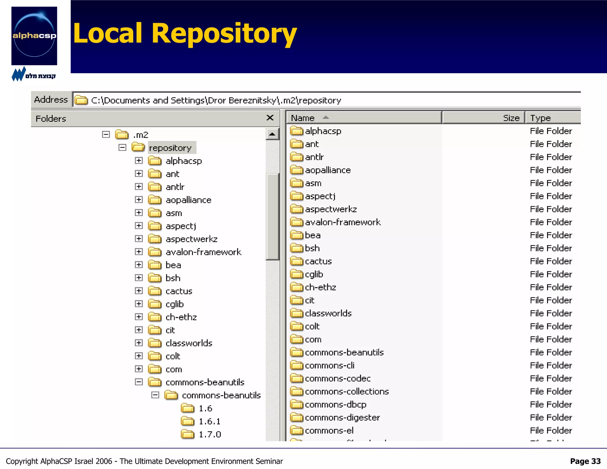 The Maven2 Revolution