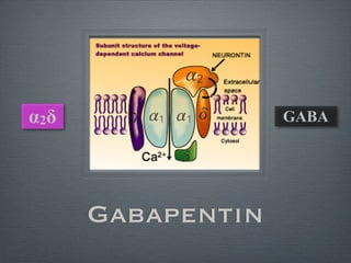 疼痛機制 The mechanism of Pain | PDF