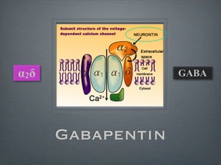 疼痛機制 The mechanism of Pain | PDF