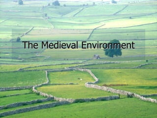 The Medieval Environment 