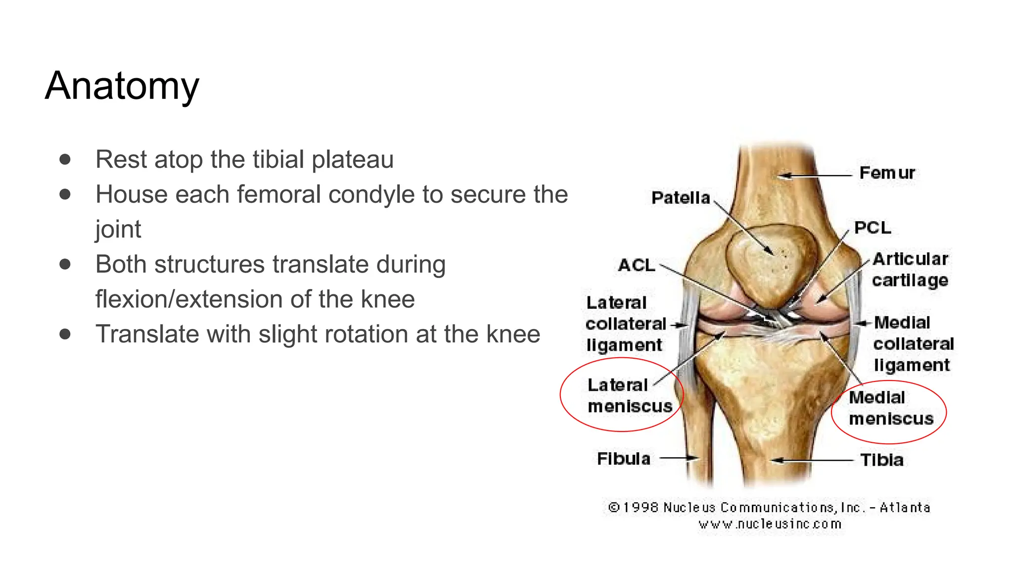 Meniscus Injury and Management PPT slides | PPTX