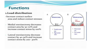 Meniscus Injury and Management PPT slides | PPTX