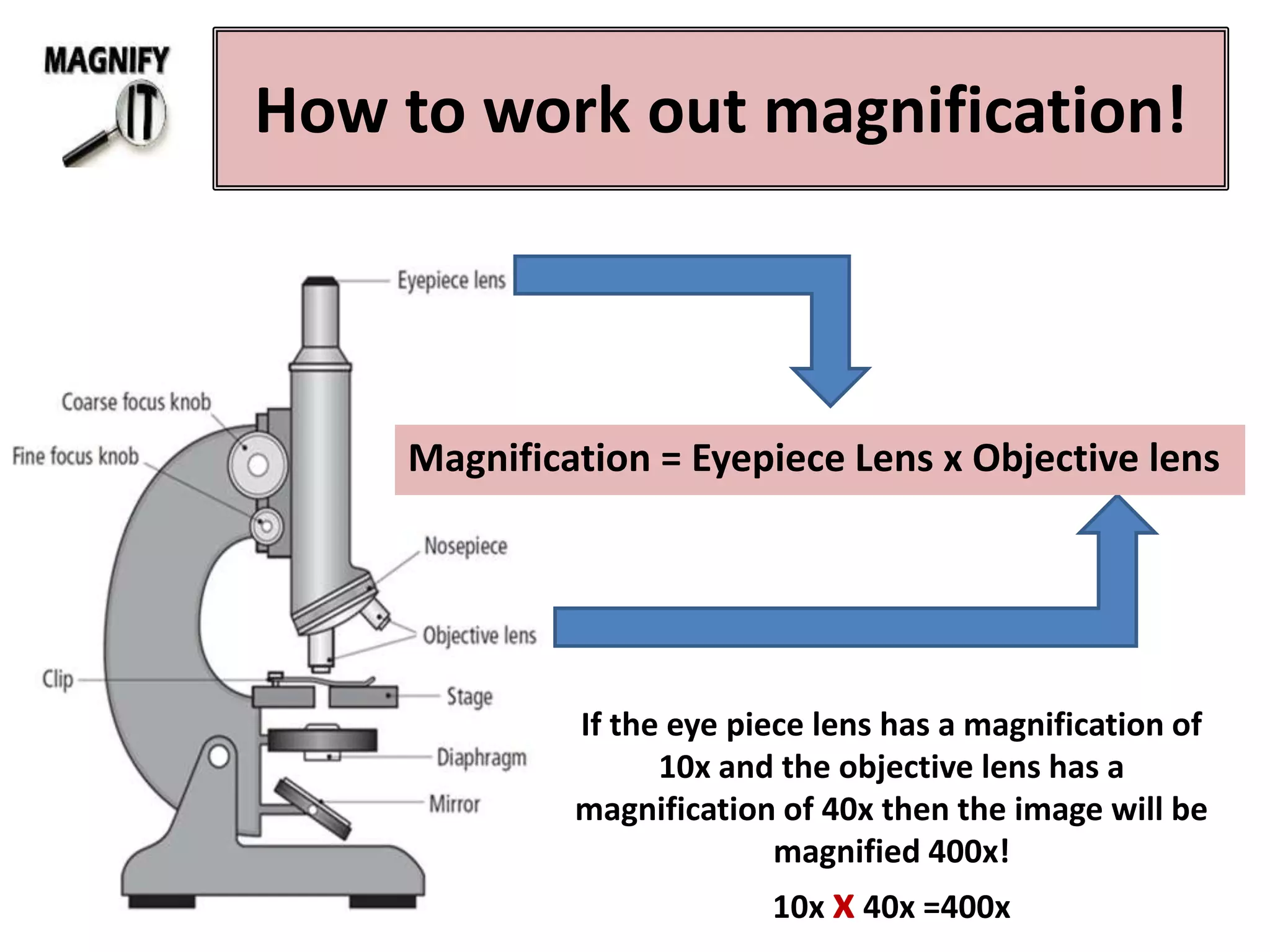 How to work out magnification!
Magnification = Eyepiece Lens x Objective lens
If the eye piece lens has a magnification of
10x and the objective lens has a
magnification of 40x then the image will be
magnified 400x!
10x x 40x =400x
 
