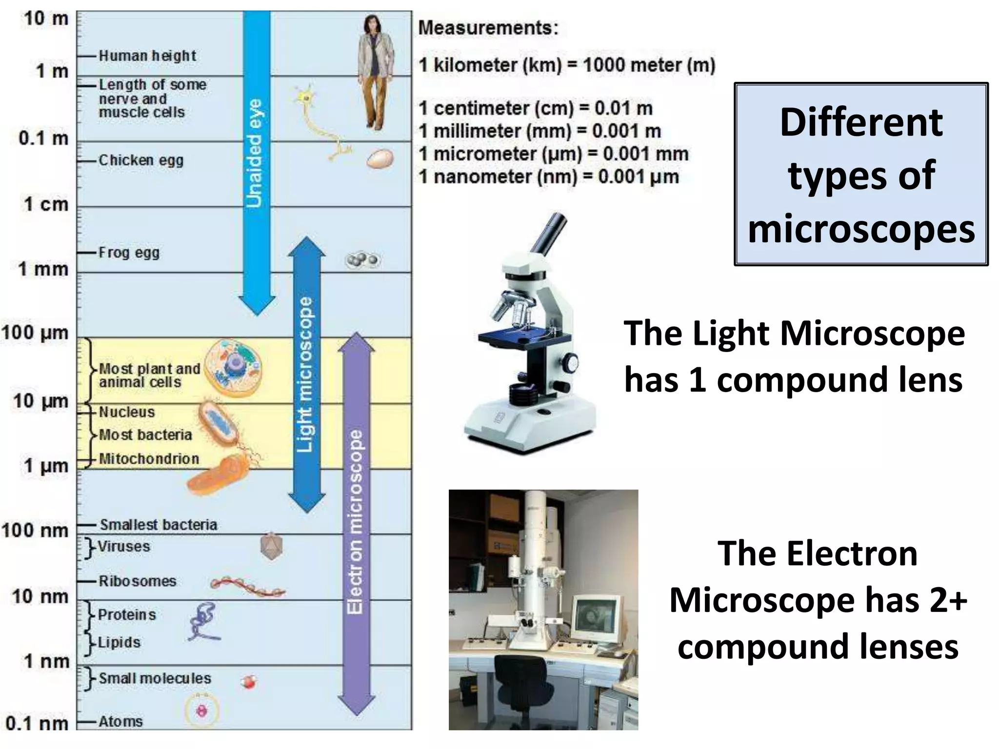 • Light
• A
compoun
d
microscop
e uses
more than
one lenses
• Electron
microscop
e uses
Different
types of
microscopes
The Light Microscope
has 1 compound lens
The Electron
Microscope has 2+
compound lenses
 