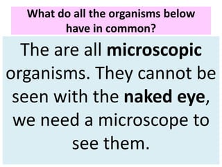 What do all the organisms below
have in common?
Red Blood Cells
E. Coli Bacteria
Dust Particles
Ebola Virus
Daphnia
Water Bear
The are all microscopic
organisms. They cannot be
seen with the naked eye,
we need a microscope to
see them.
 